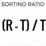 KPI of the Day – Investment: # Sortino ratio