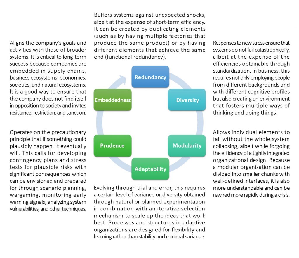 organizational resilience principles