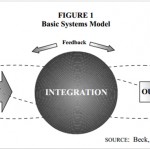 Management and organizational processes