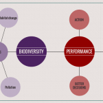 Biodiversity, sustainability and performance