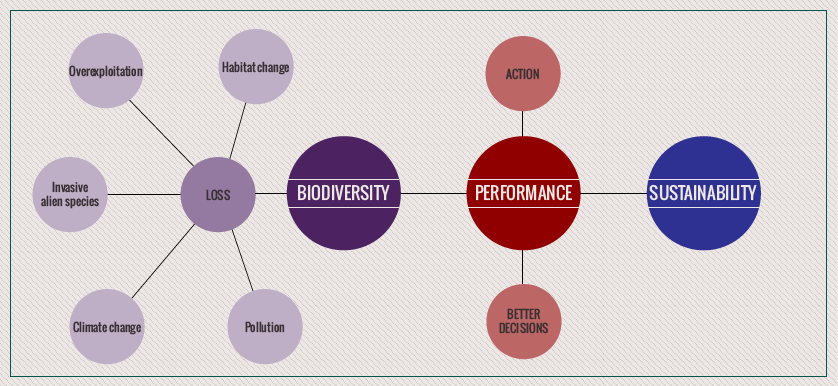 Biodiversity, sustainability and performance