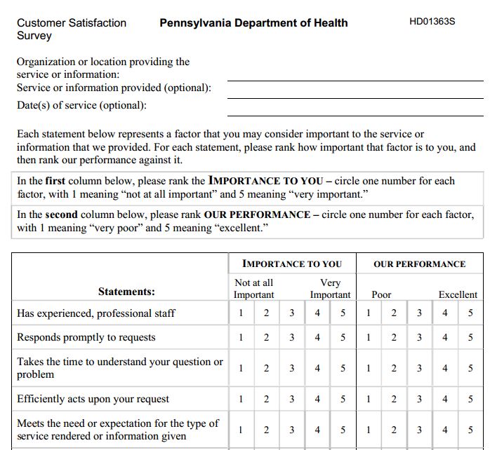 it satisfaction survey