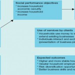 Social and Financial Performance of Microfinance Institutions