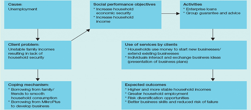 Social and Financial Performance of Microfinance Institutions