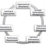 Assessing organizational performance management capability – The Performance Management Maturity Model