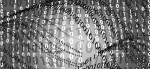 data gathering