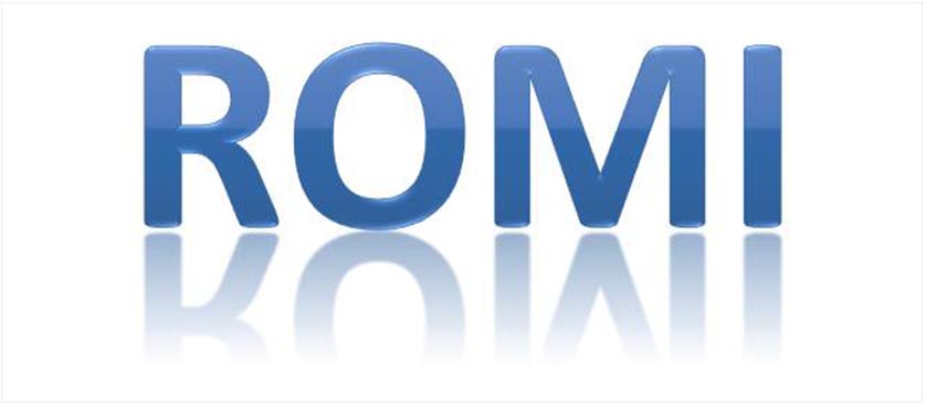 Return on Marketing Investment
