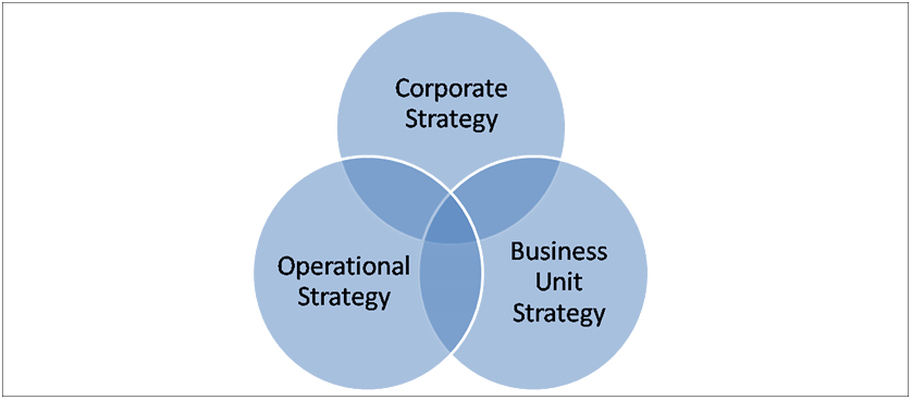Strategy and execution in organizations