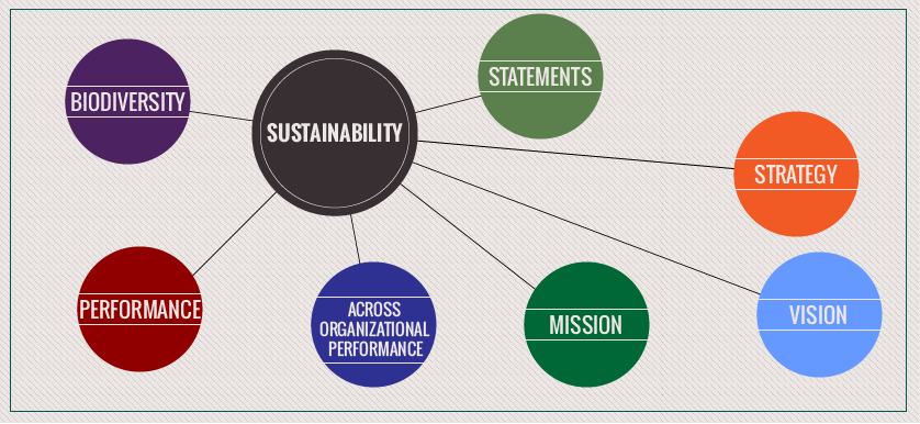 Sustainability as a strategic theme or Balanced Scorecard perspective