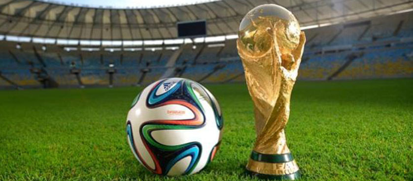 The World Cup and Economics 2010