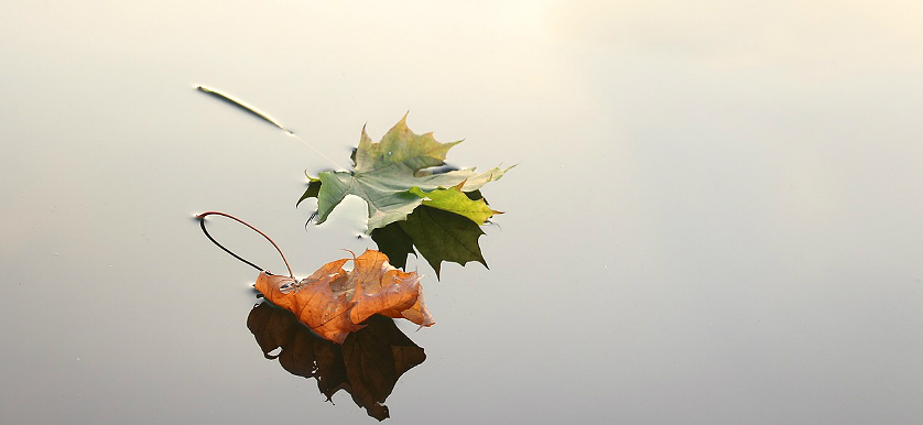 change management change management