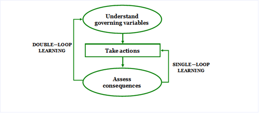 Performance Magazine What is the difference between single-loop and double- loop learning? - Performance Magazine